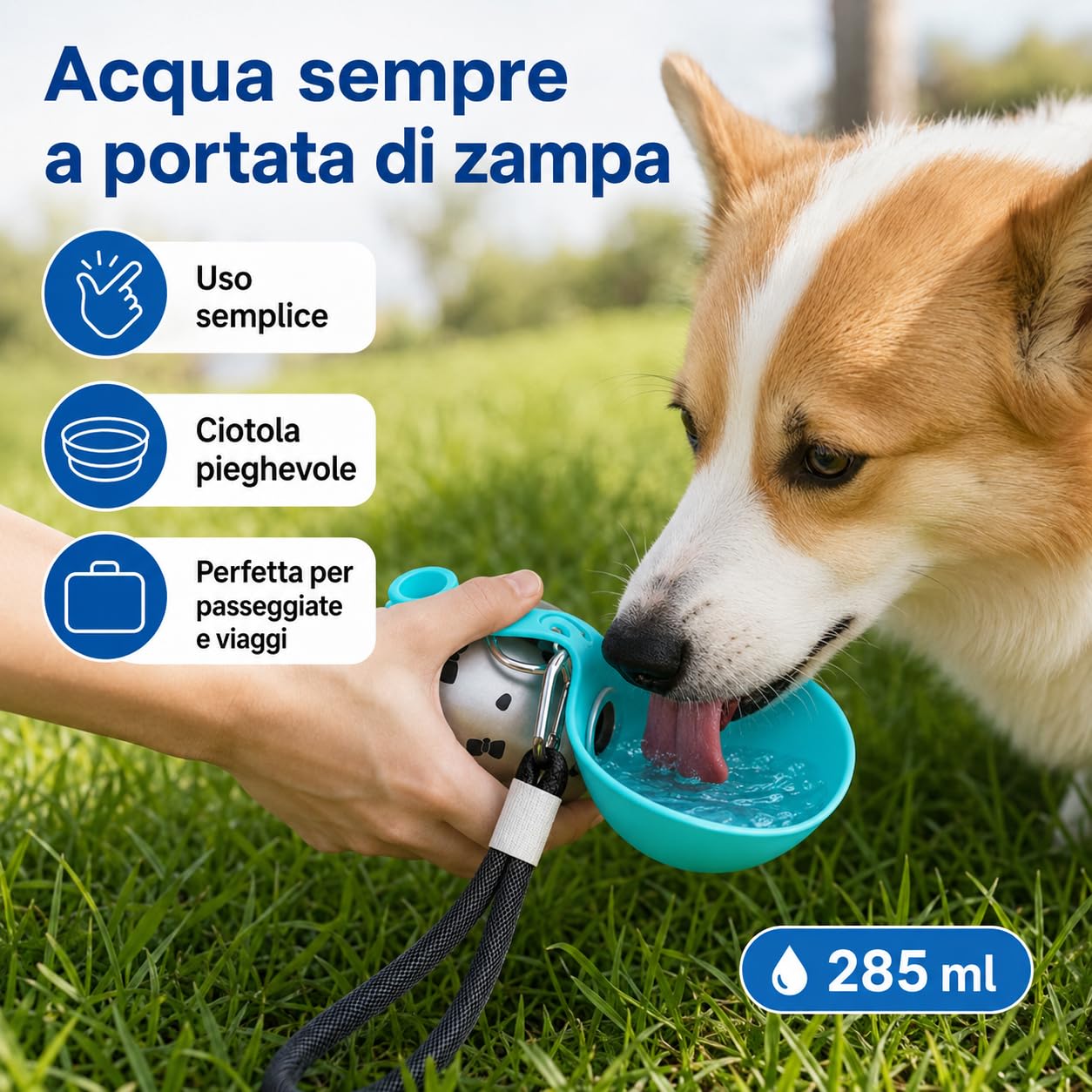 Borraccia per Cani Portatile e Compatta - Bottiglia in Acciaio per Cani in Acciaio Inox da 285ml con Ciotola Pieghevole in Silicone Anti-Goccia (Rosa A+Blu A 285ml)