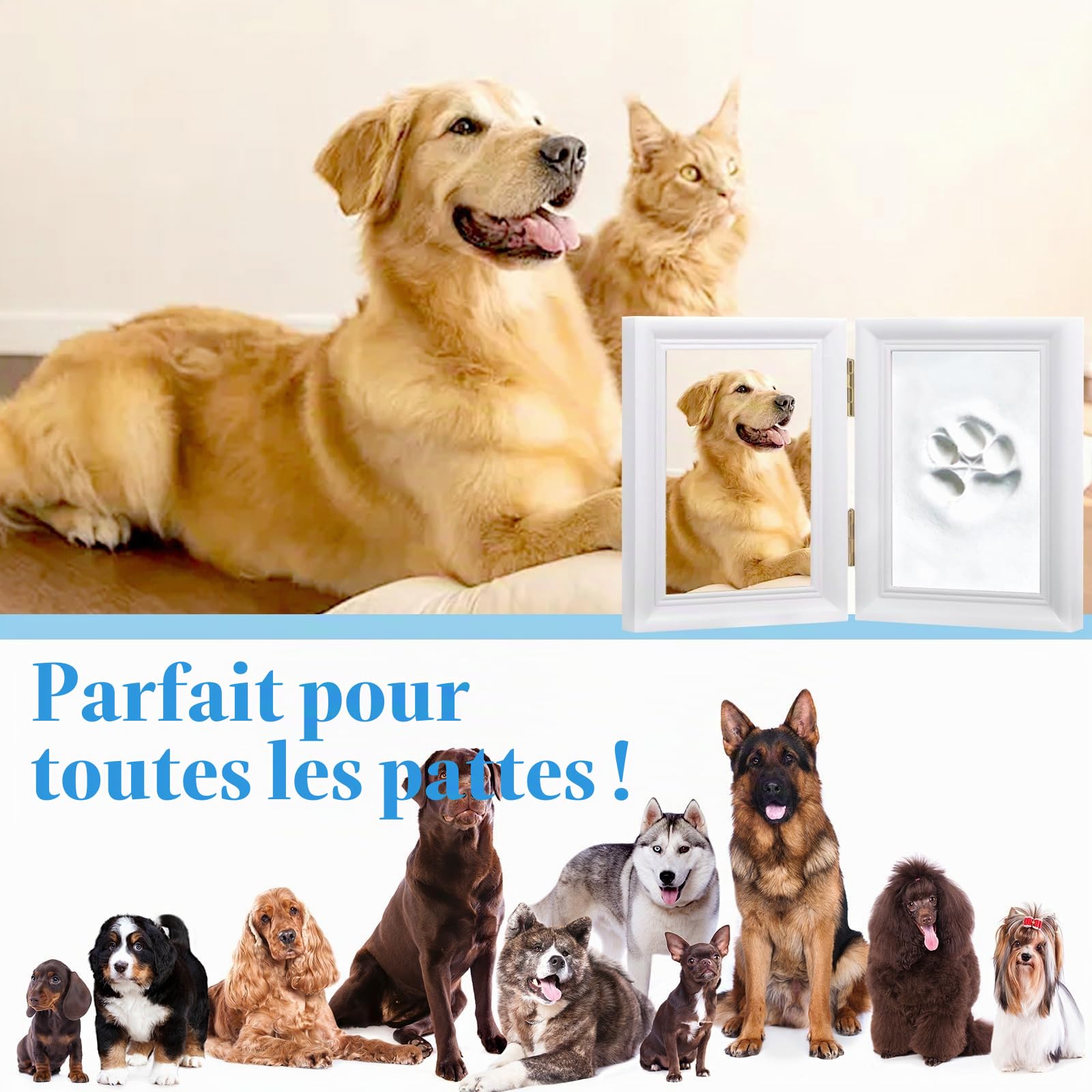 Ensemble D'empreintes de Pattes Chien et Chat, Moulage en Plâtre 3D - Boîte Souvenir, Ensemble Cadre Photo et Empreinte de Patte, pour Cadre Photo Imprimé Pattes D'animaux