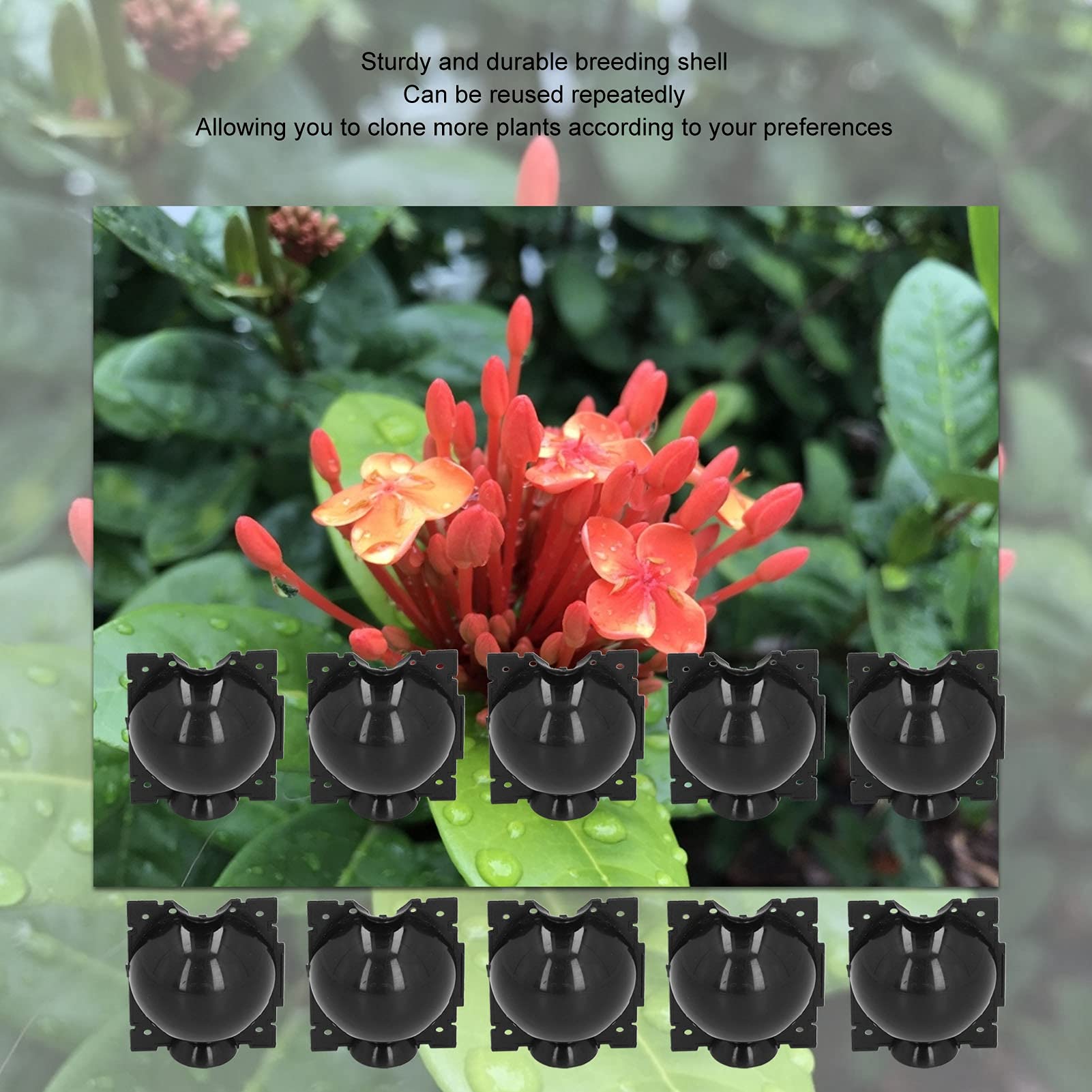 Kit 10 Boîtes De Greffage Pour Plantes - Taille 8 Cm Transparent, Propagation Par Marcottage Aérien