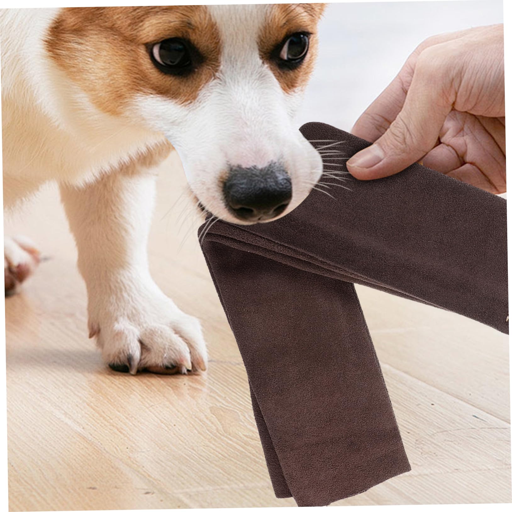 Trapo de Mordida Profesional para Perros, Resistente al Desgaste, Cuero