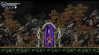 Chronicles of the Wolf - Nintendo Switch