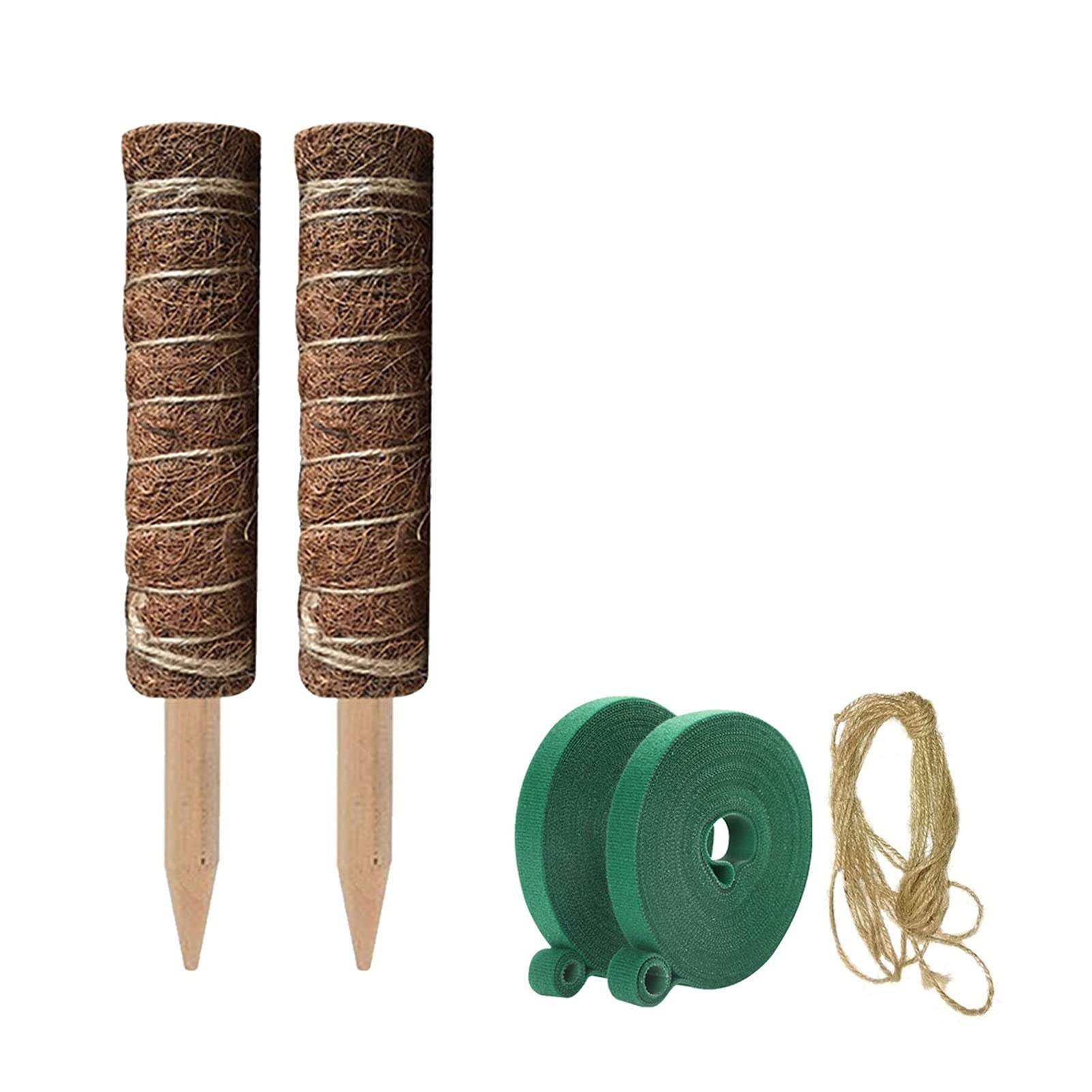 Saturey Tuteur Plante 2pack Pole Support TRULIS PIETEUR DE Plante D'ÉLIMINATION Moss ROYANCE Fibre Coconut Fibre Maison Jardinage Cadre de Balcon Support pour Plantes De Jardin (Size : 35cm)
