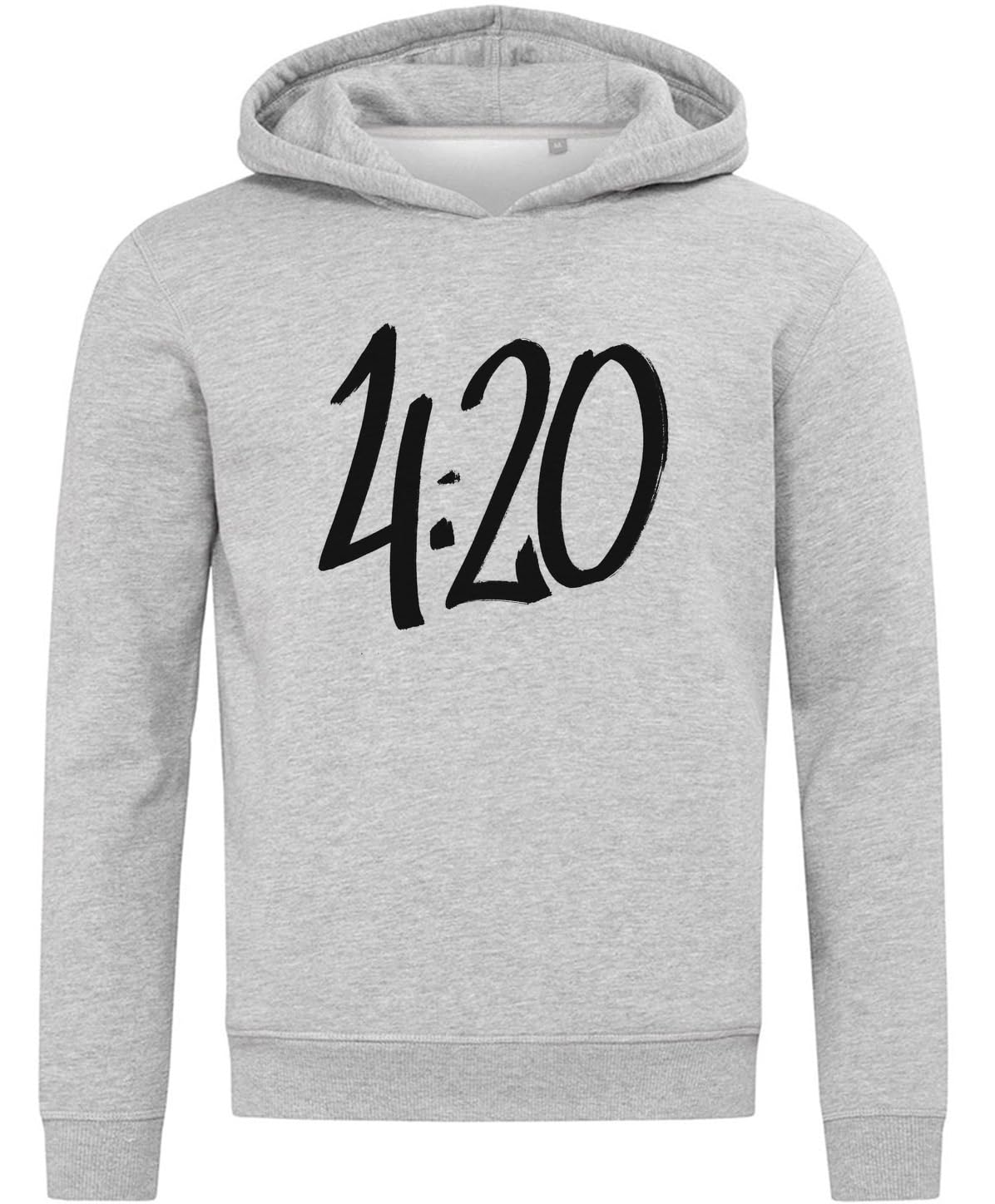 420 Art Felpa con cappuccio in misto cotone grigio