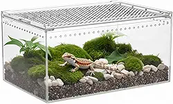 Caixa de terrário para répteis, caixa de reprodução de tarântula acrílica de 30 x 20 x 15 cm, gaiola de aranha saltadora transparente, terrário de cobra