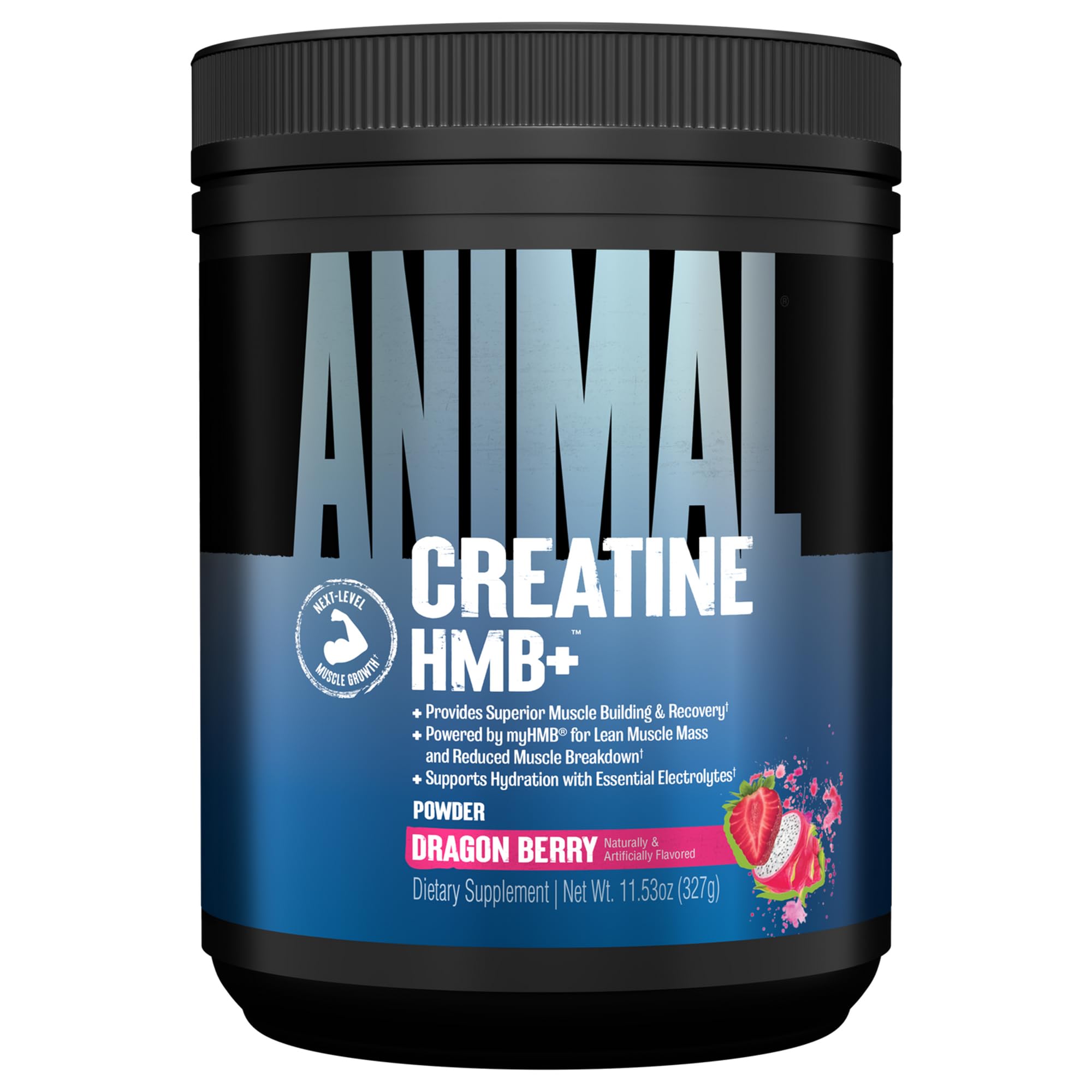 ANIMAL Creatine HMB+ - Kreatin-Monohydrat-Pulver mit HMB & Elektrolyten - unterstützt Muskelwachstum, Regeneration & Ausdauer - mit Dragon Berry, 30 Portionen