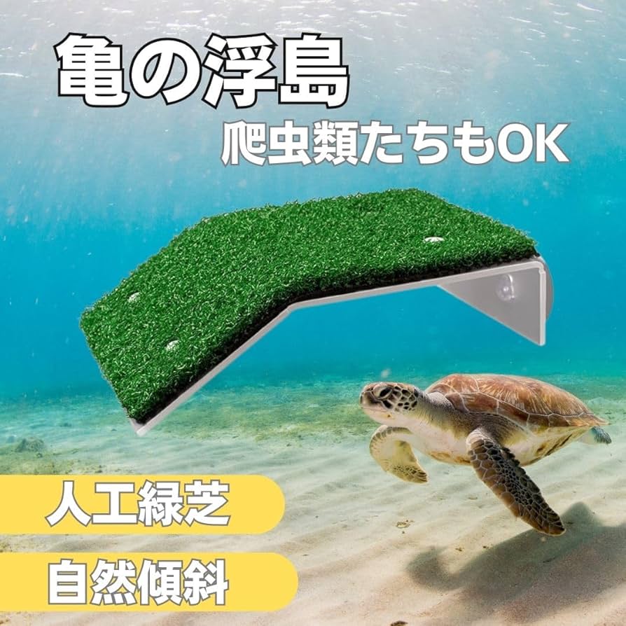 Amazon | EINEY 亀 浮島 爬虫類 水槽台 日光浴 カメ桟橋