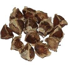 Moringa Moringa Oleifera 100 Seeds Also Called Horseradish Tree