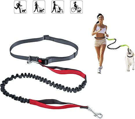 Retractable hiking leash Clearance
