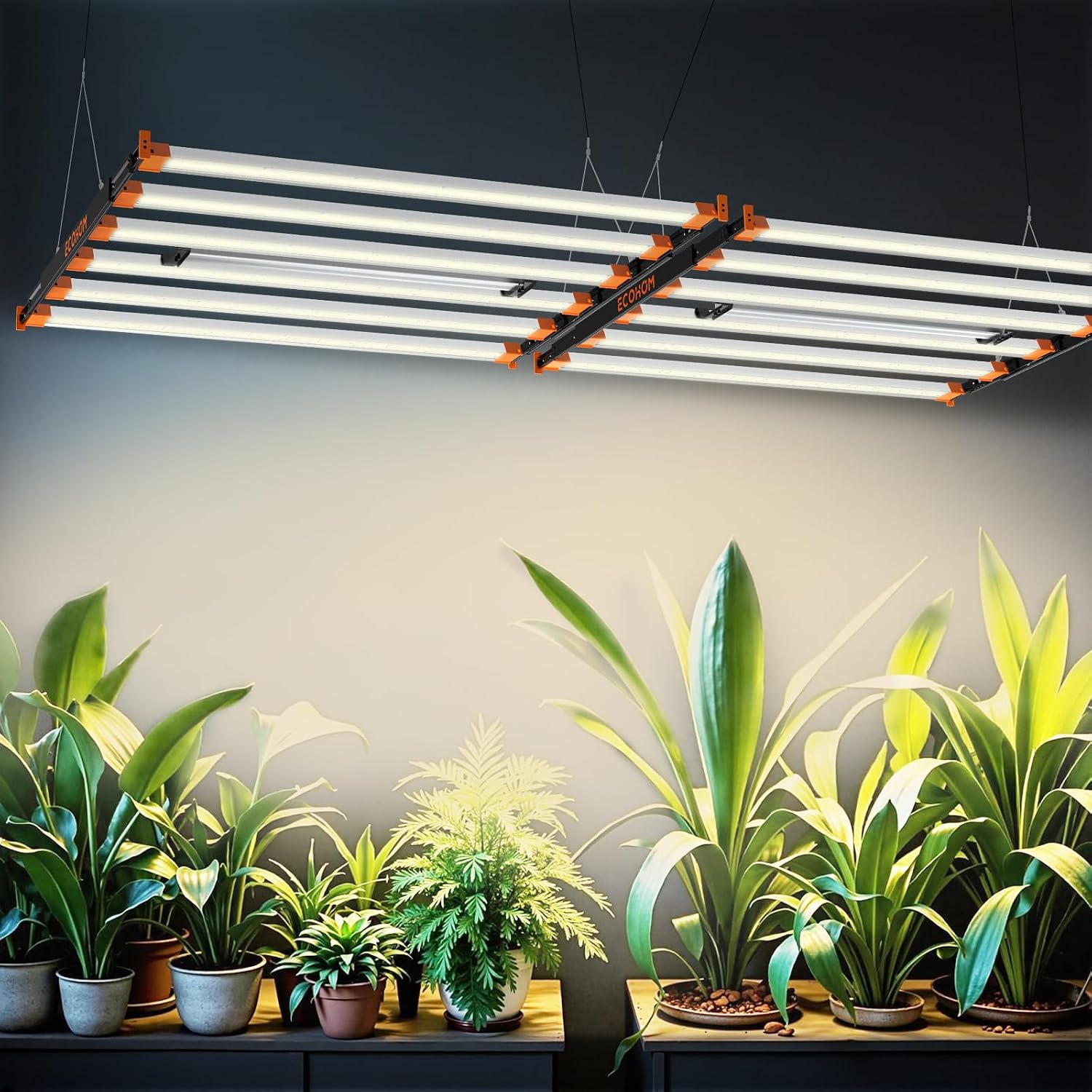 ECOHOM Bar 800W LED Grow Light, Full Spectrum, Dimmable, Daisy Chain, High PPFD, 5x5/4x4ft Coverage, for Indoor Plants Seed Starting, Vegs and Bloom, Retractable, Pro Lamp for Grow Tent Commercial Use