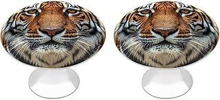 Fierce Tiger Round Cabinet Knobs for Home, Smooth Drawer Pulls | Stainless Steel Drawer Handle for Office, Fashion Dressers Pulls with Screw, 2 Pack Cupboards Knobs for Kitchen