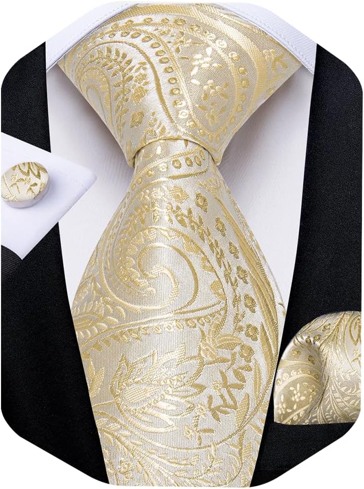 Juego de Corbata y Pañuelo de Bolsillo Paisley para Hombre
