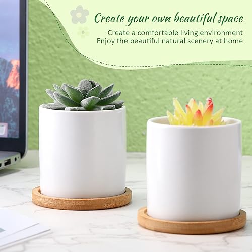 Miniatura 4 de Paquete de 12 macetas pequeñas para suculentas de 3 pulgadas, maceta de cerámica blanca y bandeja de bambú con agujero de drenaje, mini macetas para