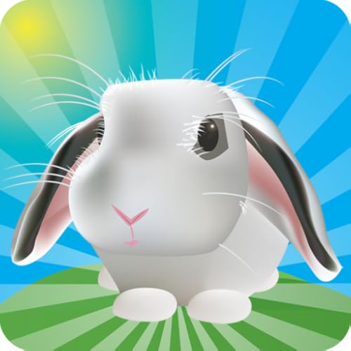 Outfoxed! Quick n' Casual Game