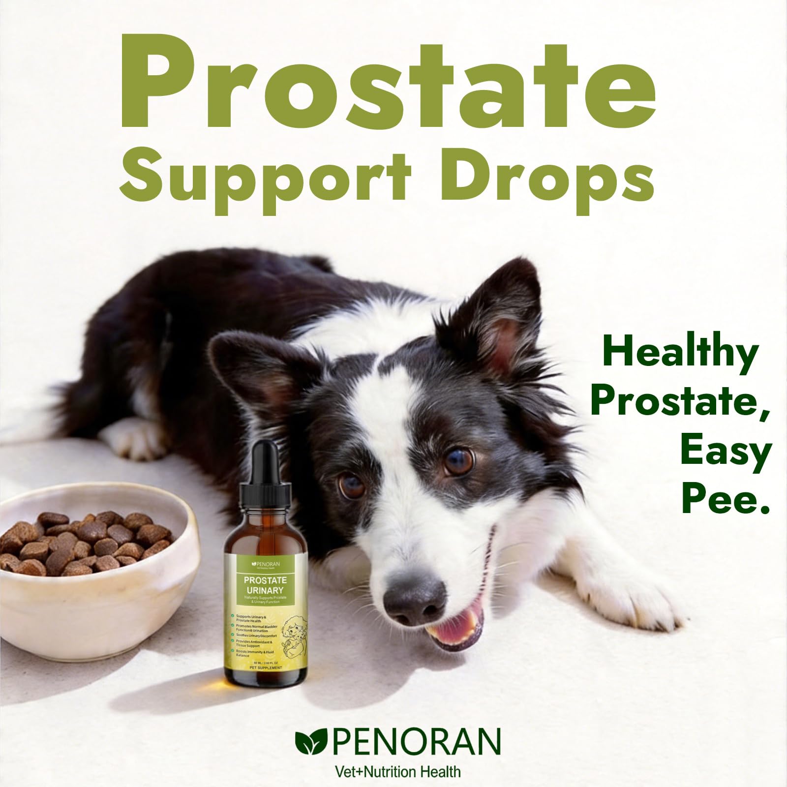 Prostata- und Harnunterstützung für Hunde und Katzen | Erhält die normale Prostatagröße, lindert Symptome durch Prostataprobleme: erschwertes oder häufiges Wasserlassen
