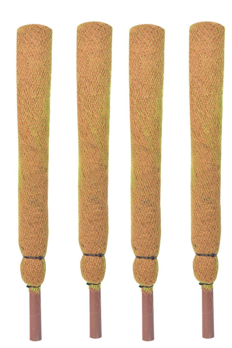 Mats Avenue 60 CM Long (2 Feet) Coir Moss Stick/Coco Pole Enriched with Natural Cow Dung for Climbing Indoor Plants (Set of 4) with 20 Meter Coir Yarn for Gardening (B09BVF7JTS) Amazon Price History, Amazon Price Tracker