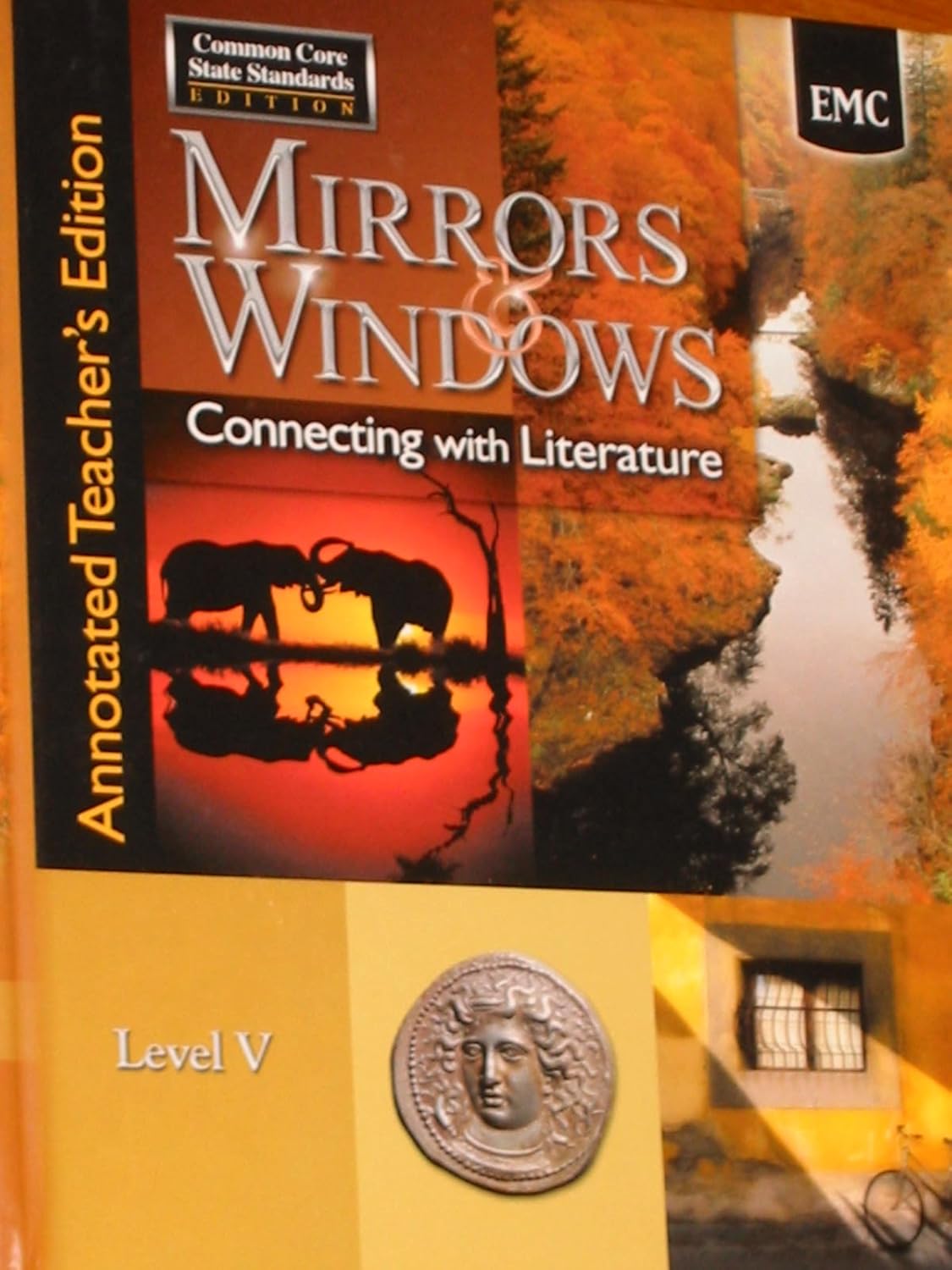 Mirrors and Windows Connecting with Literature (Mirrors and Windows, 5