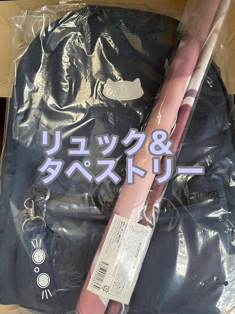 Amazon.co.jp: ホロラ 湊あくあ 活動5周年記念 リュック タペストリー 
