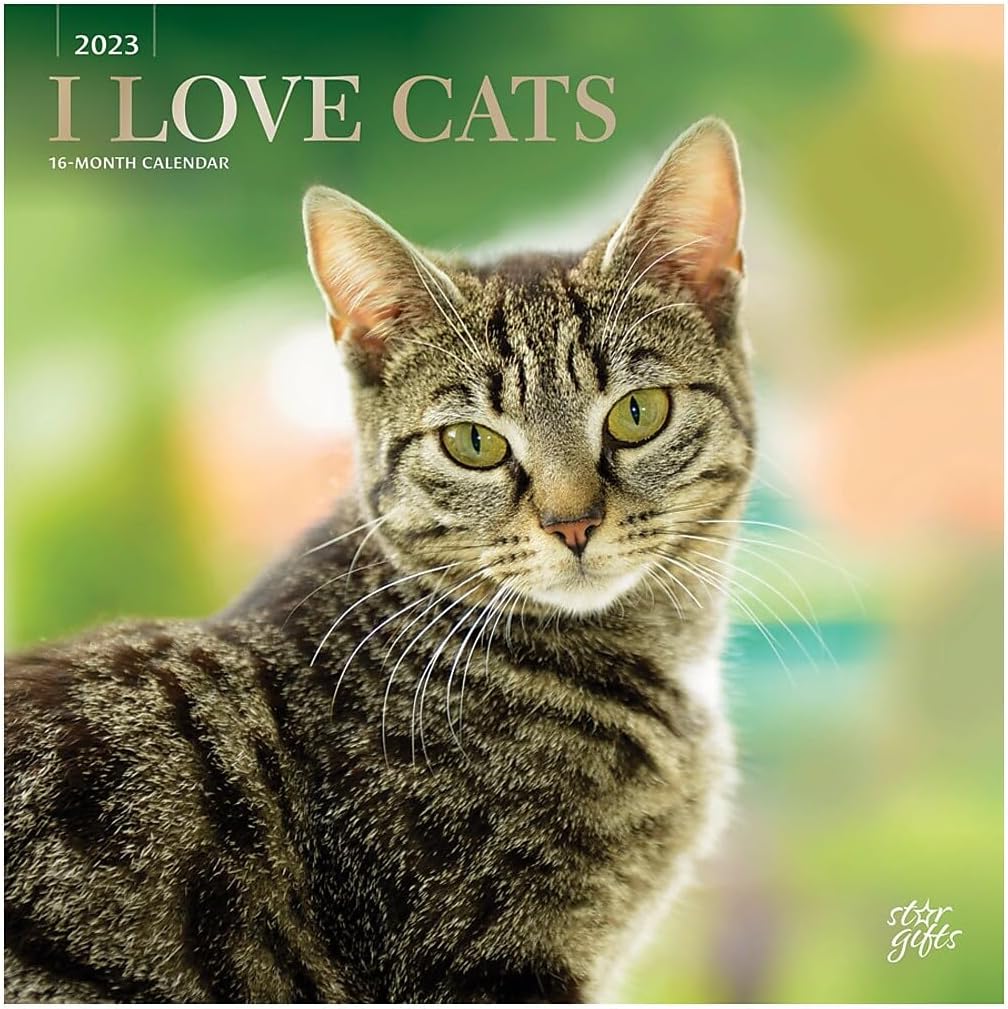 Browntrout Love Cats 2023 12 x 24 Inch Monthly Square Wall Calendar Foil Stamped Cover and Stickers StarGifts Feline Kittens Pets