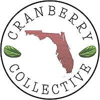 Vista 40 de Vermont Christmas Ornament - Winter Theme Featuring Snow, State Terrain Map and Santa Cap - 2025 Hanging Acrylic Disc Decoration For Tree - Unique