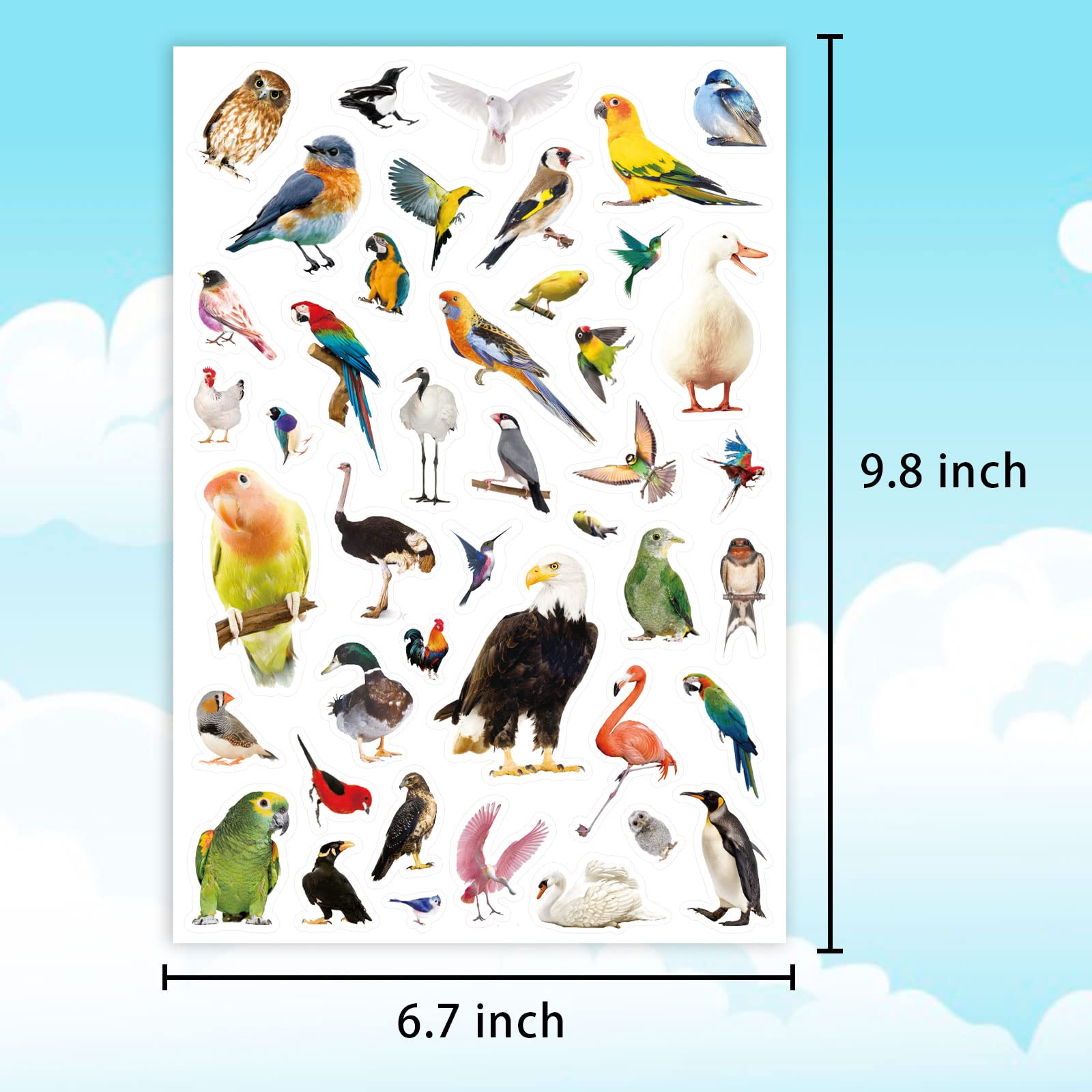 Calcomanías de animales salvajes de pájaros, suministros de fiesta, 850 unidades, safari tropical, selva, pájaros, animales, calcomanías para regalos de fiesta de cumpleaños, botellas de agua, álbumes 7