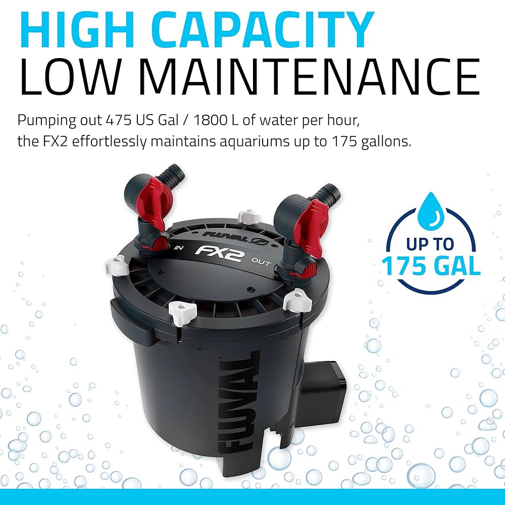 Amazon.com : Fluval FX2 High Performance Canister Aquarium