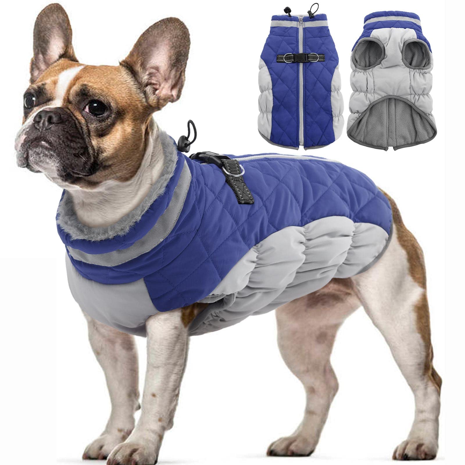 Amazon.com : OUOBOB Dog Winter Jacket 