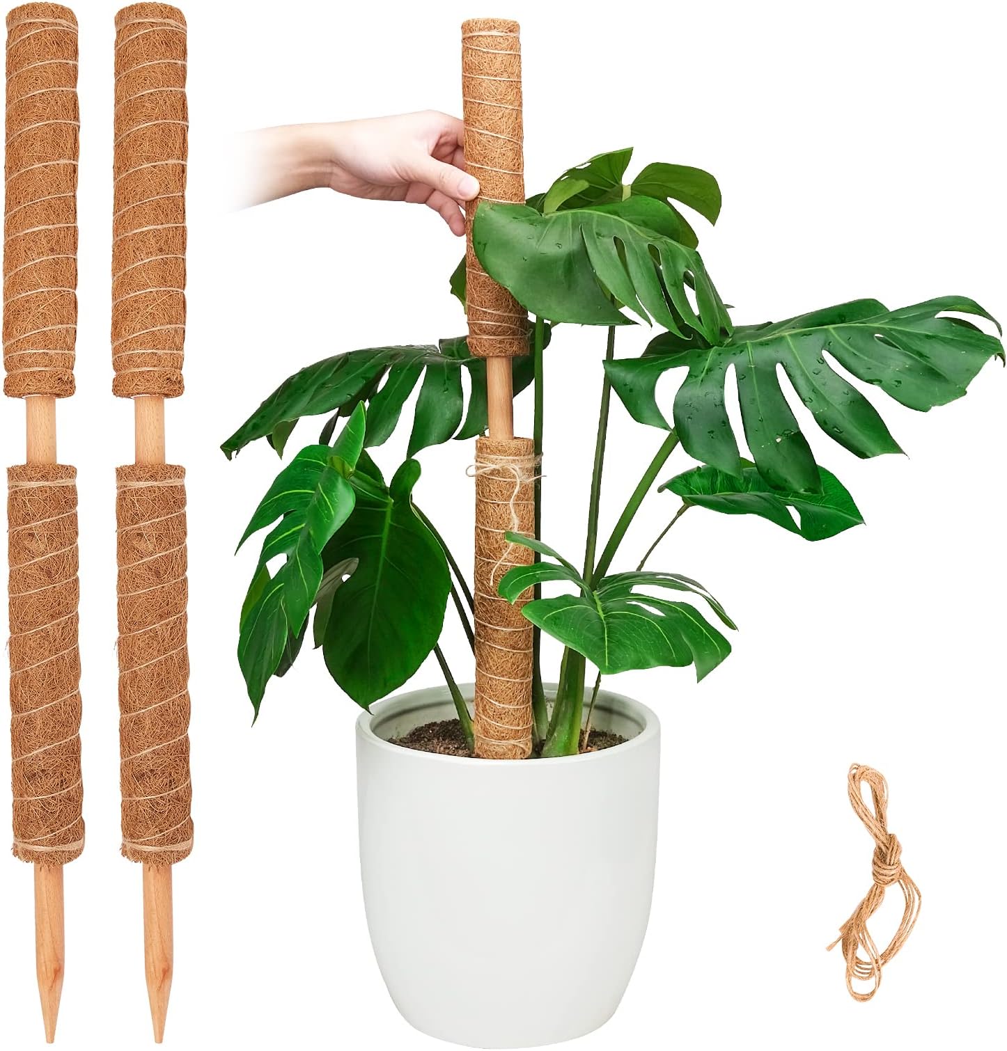 Pisol Moss Pole for Plants Monstera, Extendable Plant Sticks Support, Plant Stakes for Indoor Potted Plant, 15.7'' Coco Coir Pole Plant Trellis for Sphagnum, Pothos and Other Climbing Plants(4 PCS)