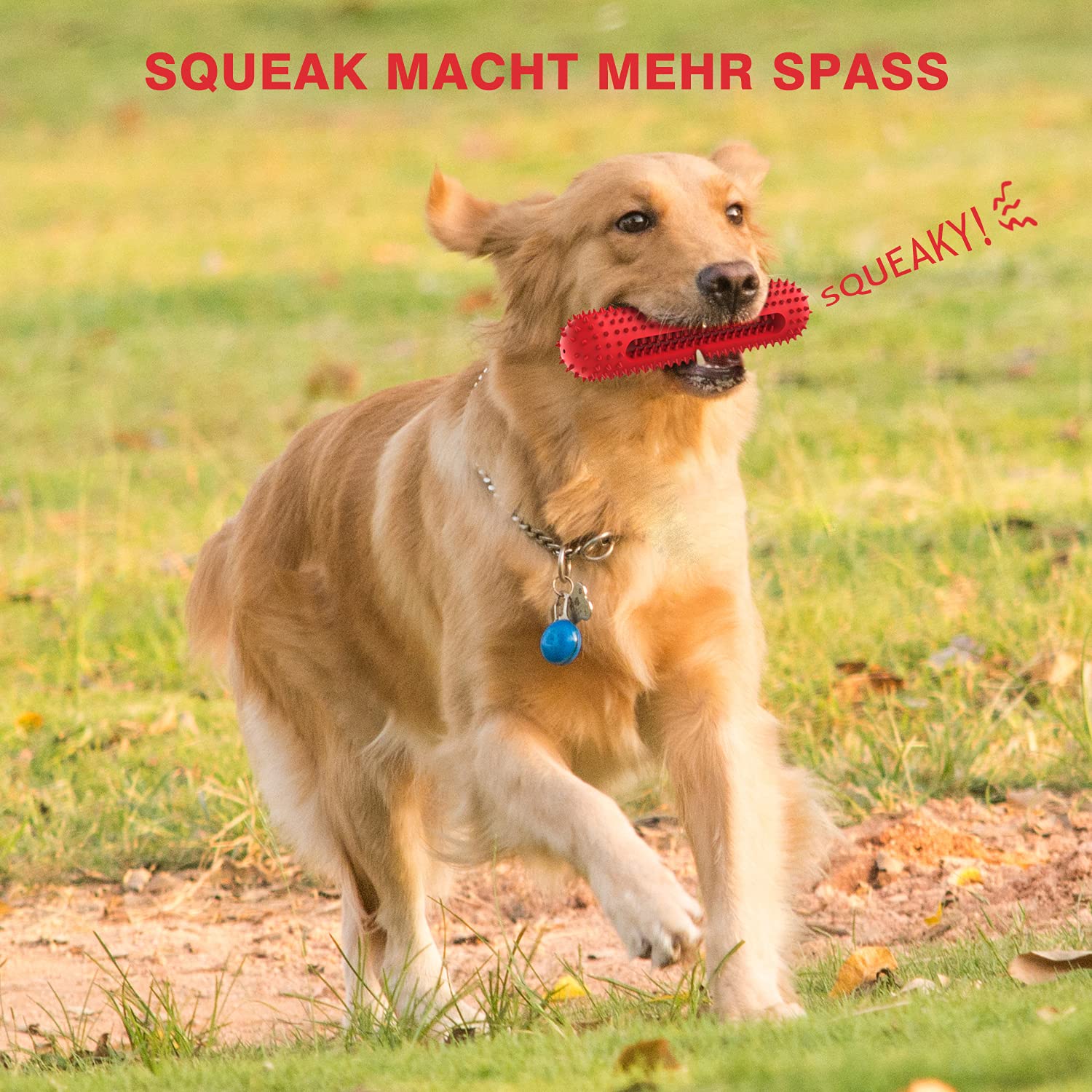 Ultra Robustes Hundekauspielzeug Aus Hartgummi Mit Quietscher - Zerstörungssicher Für Mittelgroße Hunde & Welpen, Fördert Zahnreinigung