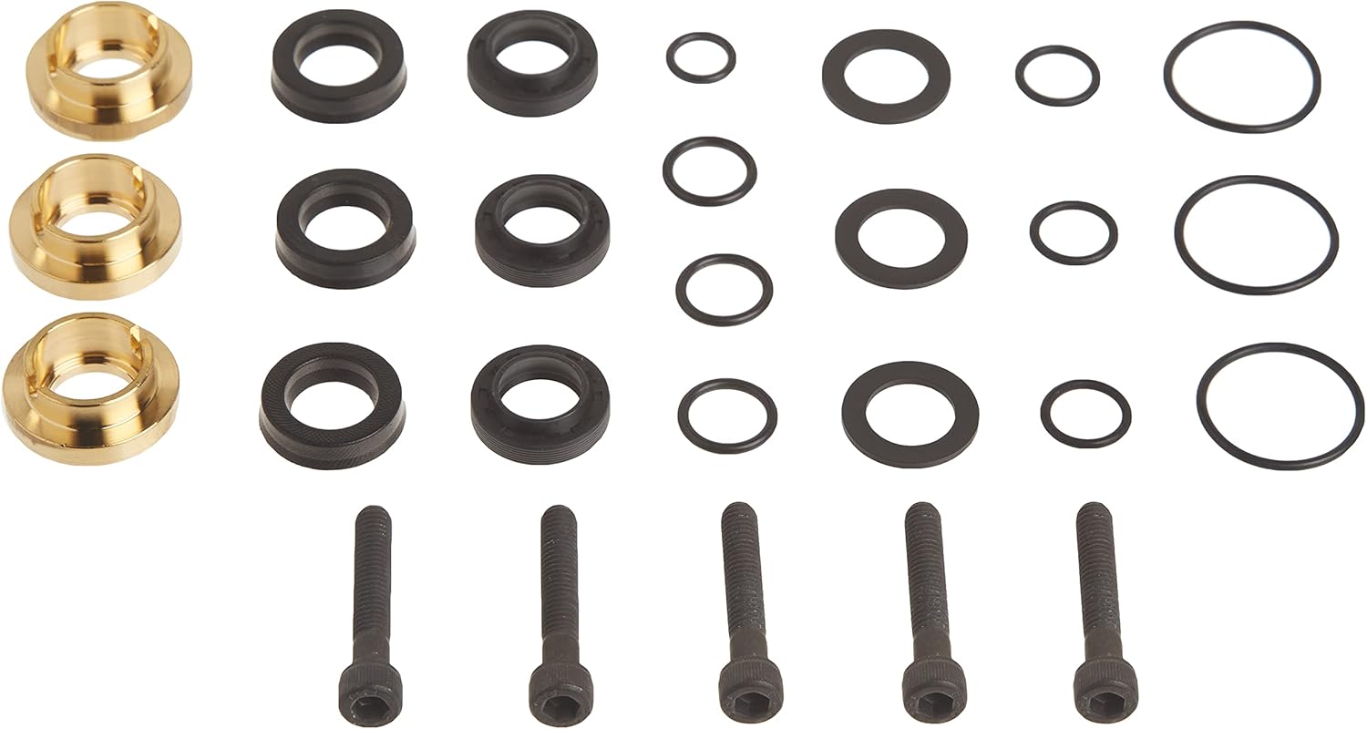 Briggs & Stratton Pressure Washer Seal Kit Set 190595GS