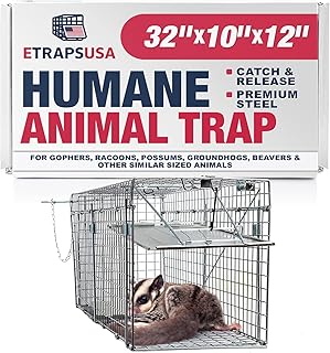 LifeSupplyUSA Animal Trap (32"x10"x12") - Best Humane Animal Trap for Gophers, Racoons, Possums, Groundhogs, Beavers and Other Similar Sized Animals. Easy Trap Catch & Release cage with 1-Door