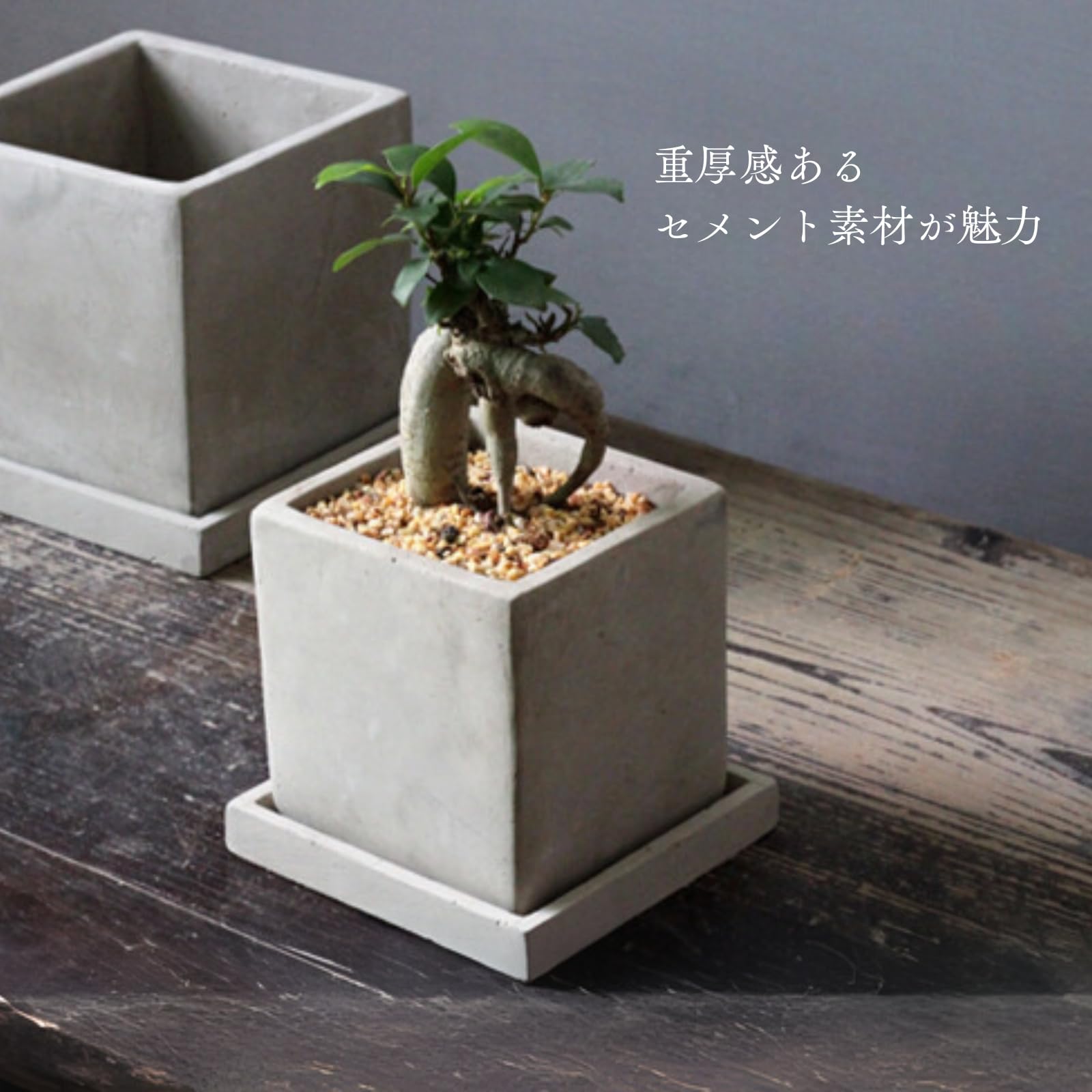 Amazon.co.jp: TUISKU プランター 植木鉢 角 セメントポット