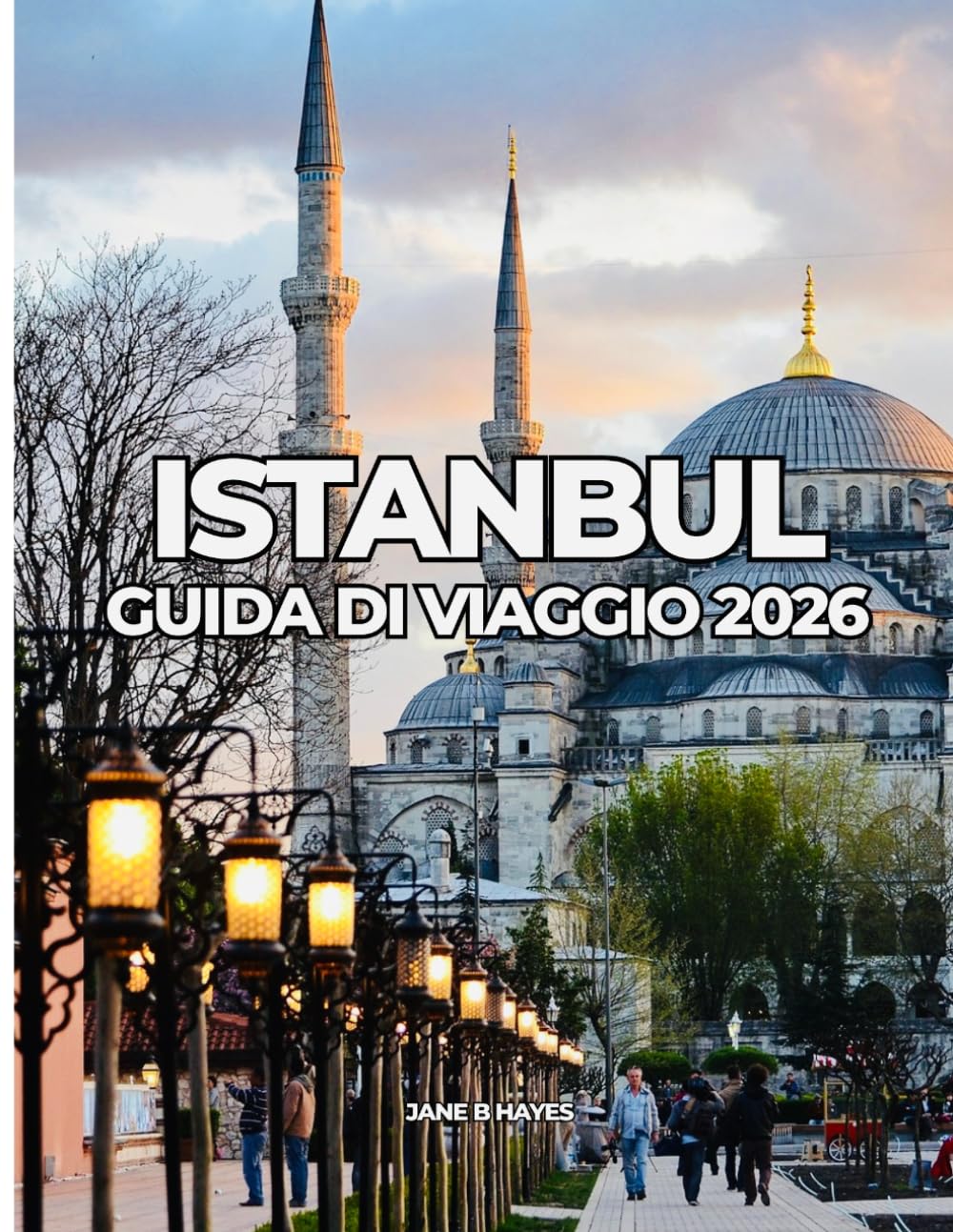ISTANBUL GUIDA DI VIAGGIO 2026: Viaggi a prezzi accessibili attraverso una città senza tempo