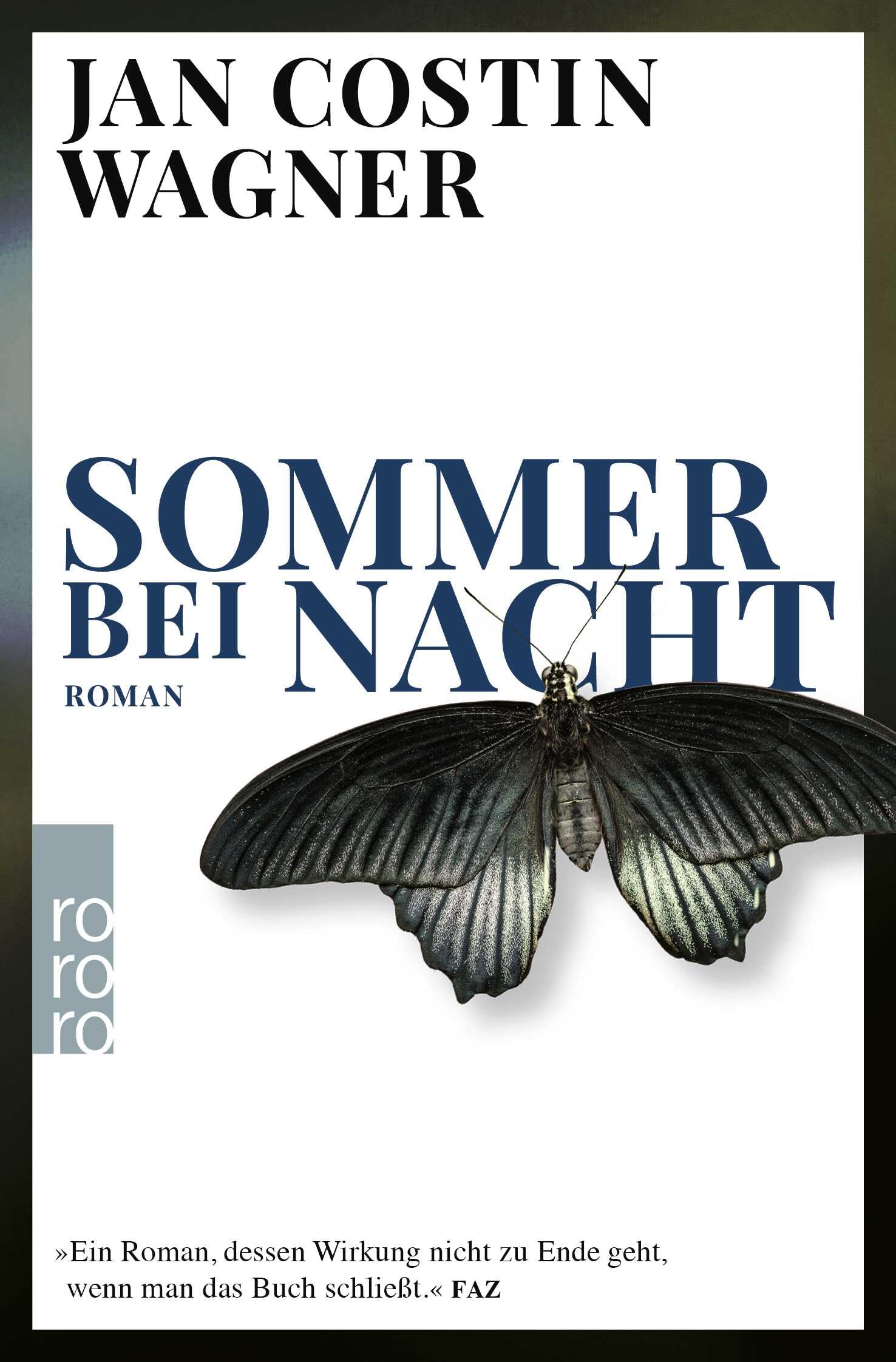 Sommer bei Nacht: Vom Gewinner des deutschen Krimi-Preises: 1