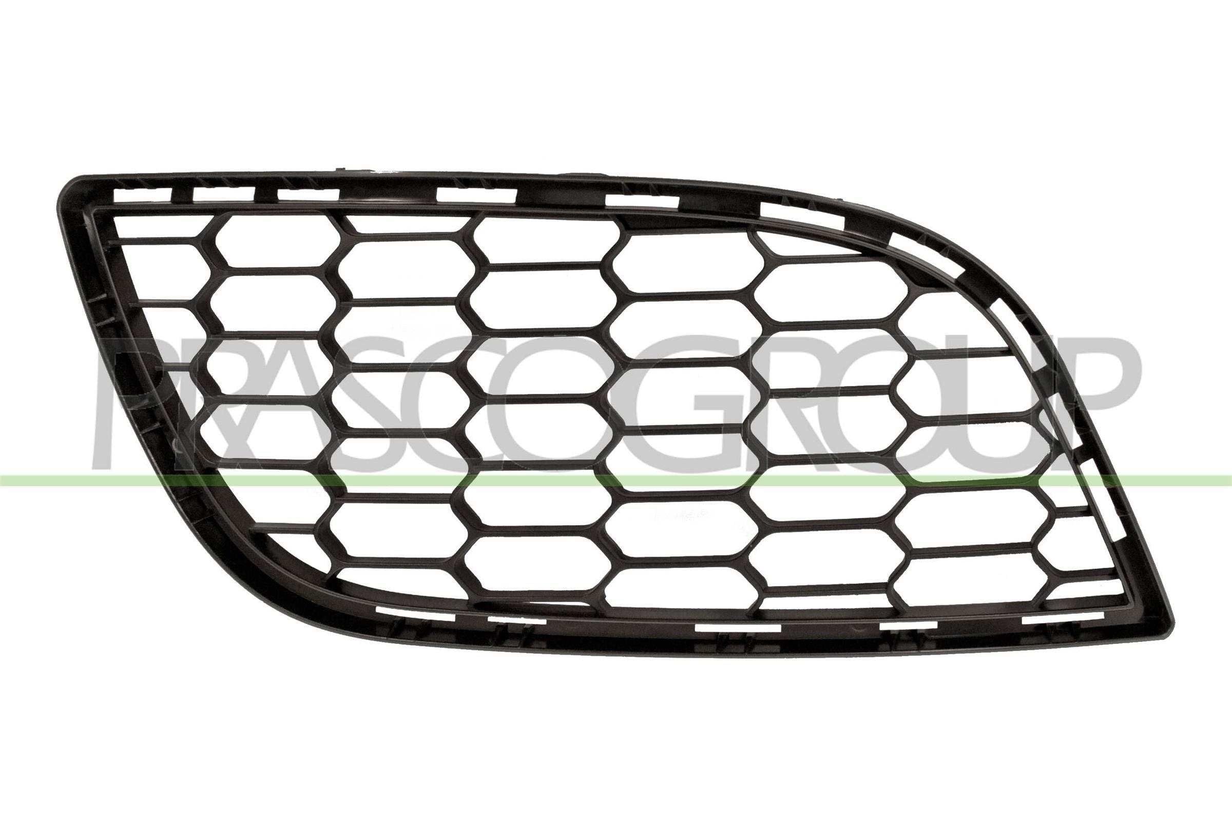 PRASCO AA3442103 Modanatura decorativa/protettiva Griglia radiatore Destra nero