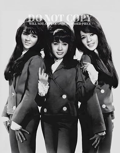 The Ronettes Photograph 8 X 10 - Magnífico retrato de 1966 - Ronnie Spector - Los sesenta - Música americana legendaria - Grupo de chicas más