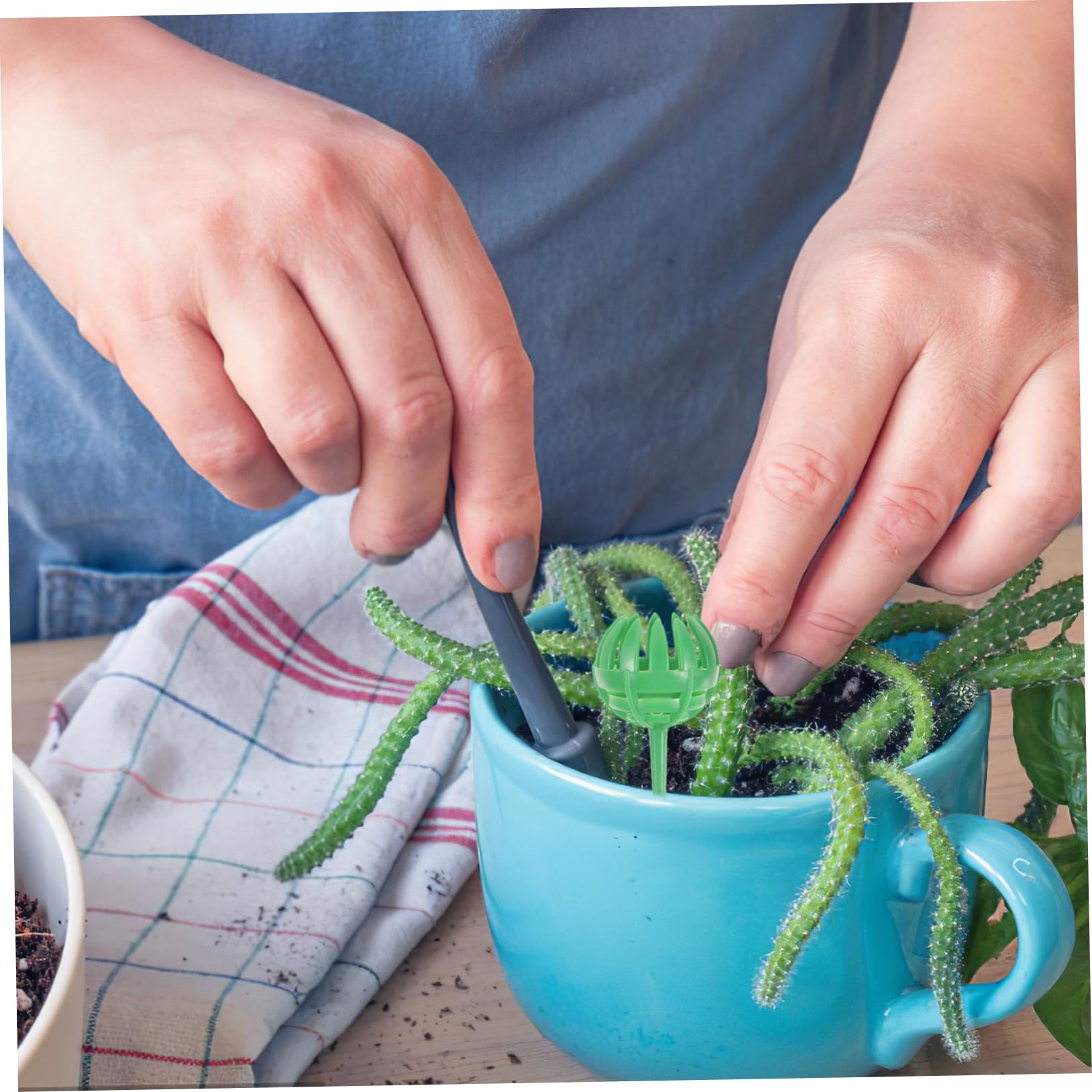 Sosoport 5 Ensembles Boîte À Engrais Plantes Gadget De Fertilisation Bonsaï Panier D'engrais Pour Bonsaï Conteneur De Fertilisation Outil De Fertilisation Bonsai Plastique 30 Pièces * 5