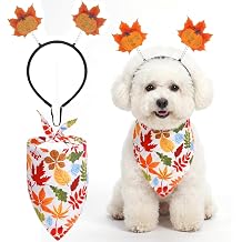 Dog Thanksgiving Outfit - Maple Headband with Bandana Costume Set for Fall