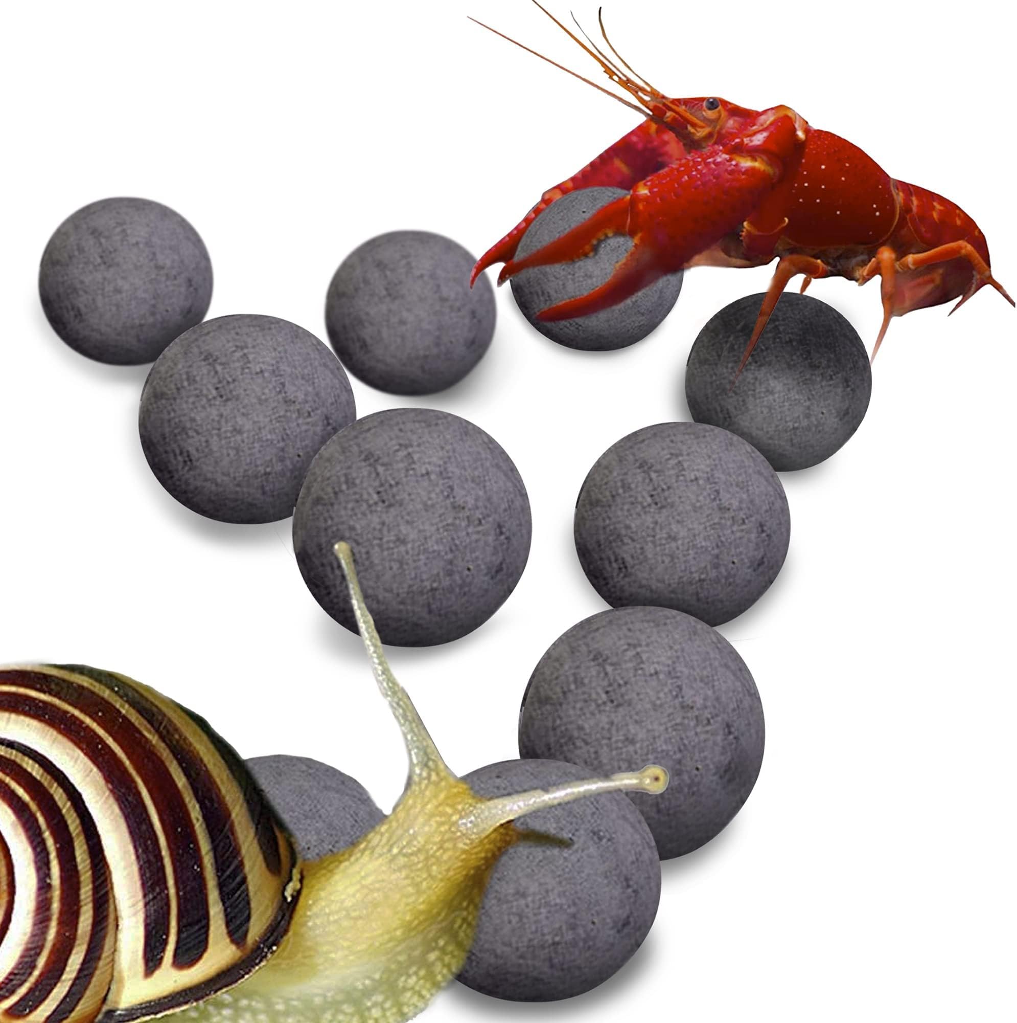 Snail and Crayfish Energy Balls, Enhance Color, Water Conditioner Balls for Invertebrates, Aquarium Décor with Beneficial Elements, 20-Pieces per Pack