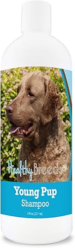 Miniatura 1 de Healthy Breeds Chesapeake Bay Retriever Young Pup Champú 8 oz