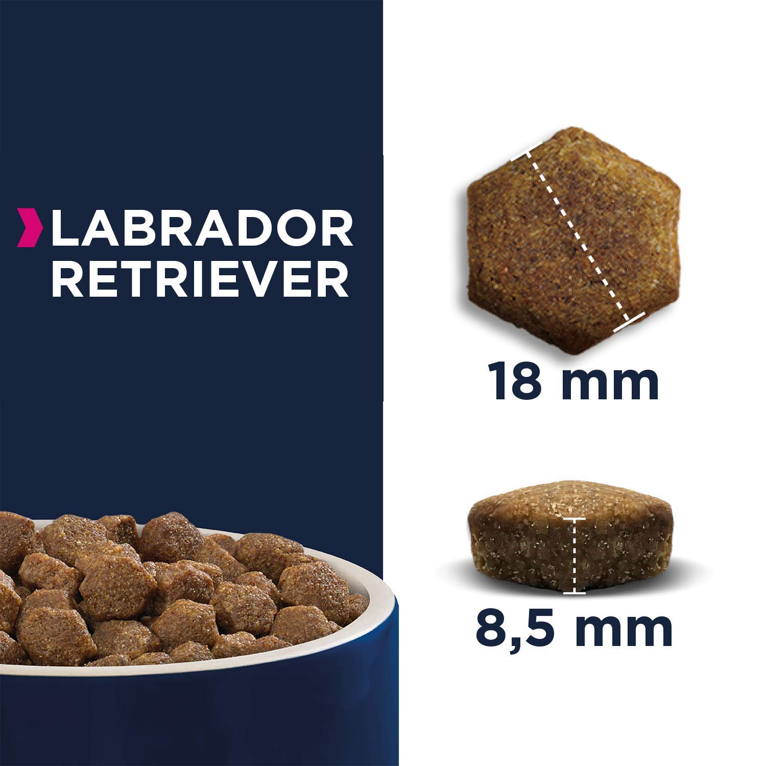 Eukanuba Breed Specific Alimento Secco per Labrador Retriever Adulti, Cibo per Cani Adattato in Modo Ottimale alla Razza 12 kg, la confezione può variare