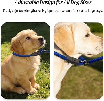 2-Pack Adjustable Nylon Slip Dog Lead Collar-and-Leash Integrated Design for Training (Black/Blue)