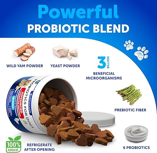 Miniatura 4 de Probióticos para perros Apoya la salud intestinal, picazón en la piel, alergias, inmunidad, equilibrio de levadura Probióticos para perros y