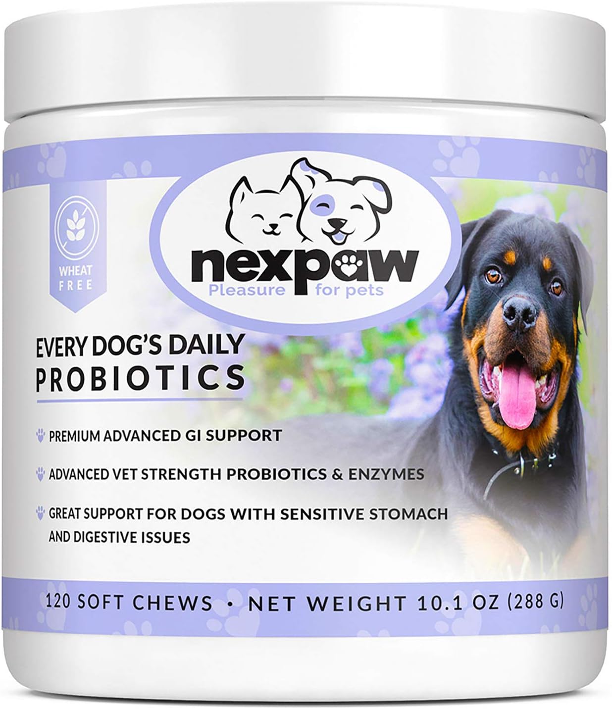 Buy Probiotics For Dogs Digestive Health Relief Diarrhea Gas Bloating Constipation Upset Stomach Safe Natural Canine Probiotic Gut Chewable Medicine 120 Wheat Free Chews Dogs Puppy Loves Online In Kazakhstan B07gvs5g4l