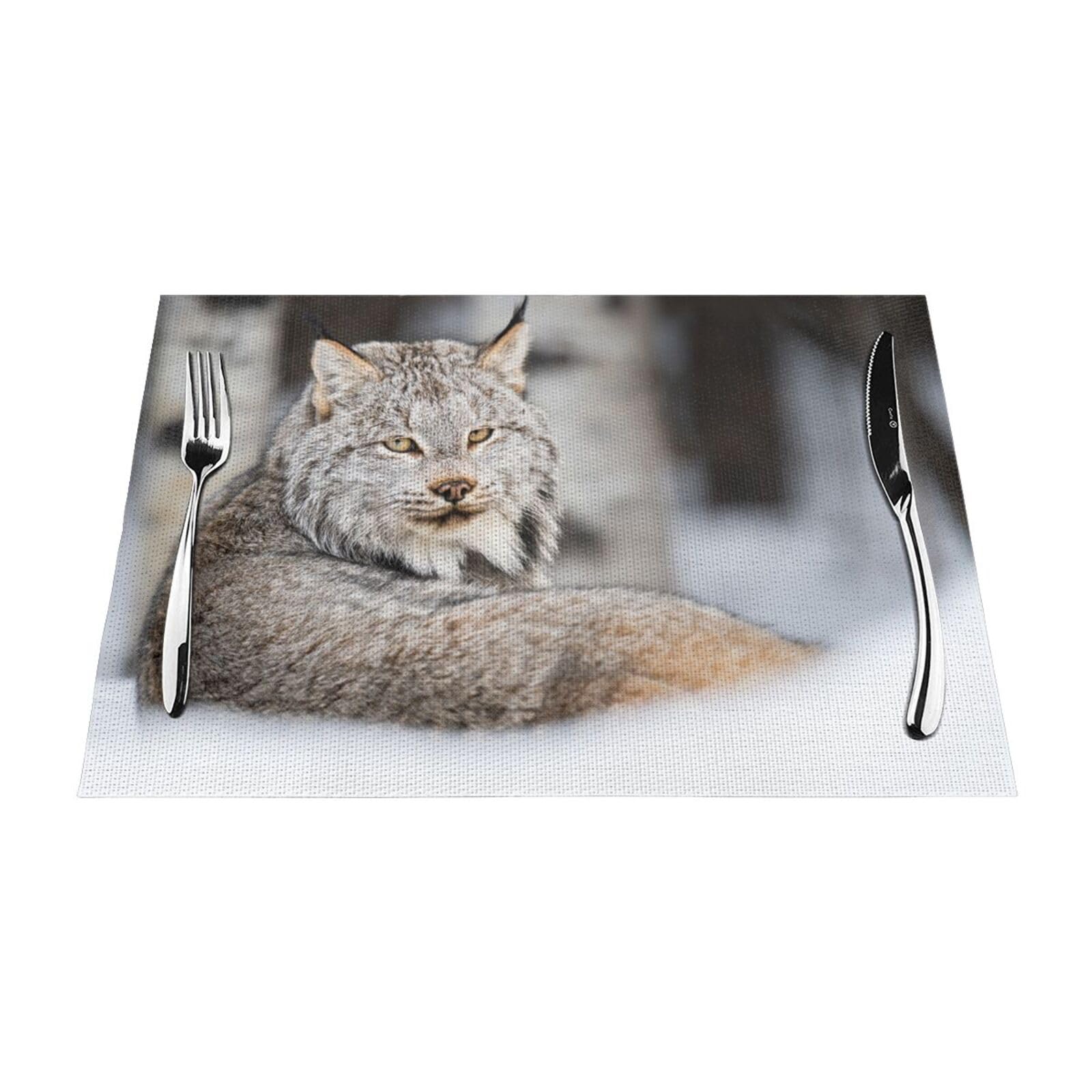 Sets de table de cuisine tissés Canada Lynx 30,5 x 45,7 cm lavables
