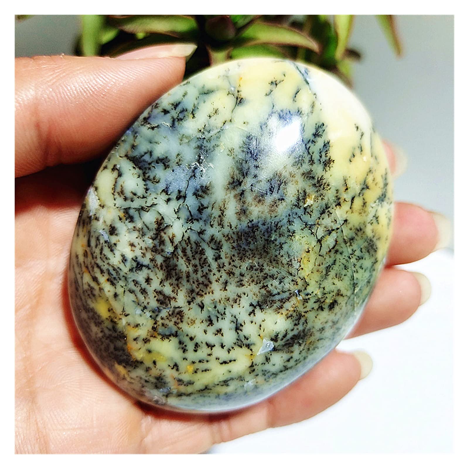 Piedra de árbol ópalo dendrítico natural JCAKES cristales curativos decoración hogar A4