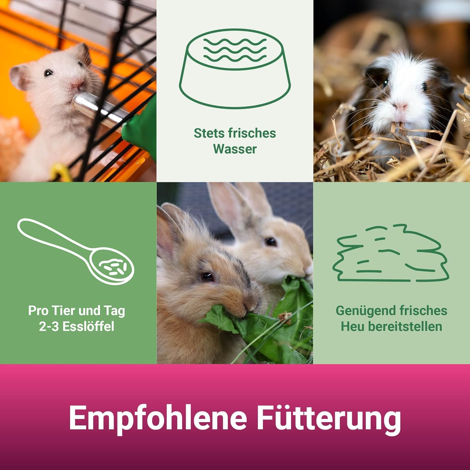 PANTO Rundum-Set für Nager – Nager-Krokant-Mix & Blütenwiese Heu im Bundle | Kombiset aus abwechslungsreichem Knuspermix & rohfaserreichem Blütenheu – Rundumversorgung für alle Nagerarten