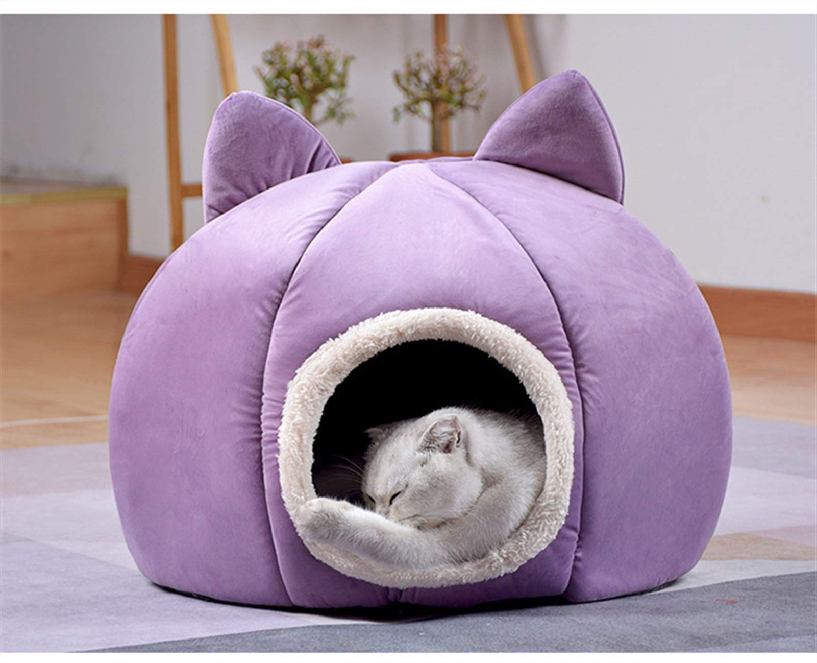Panier pour Chat - Maison pour Chat Igloo Lit pour Chat D'intérieur pour Chatons et Petits Chiens (Color : Purple, Size : 48x48x47cm)