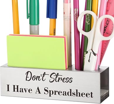 Funny Accountant Appreciation Gifts for Office Decor, I Have A Spreadsheet, Thank You Accountant Gifts for Women Men CFO Coworkers, New Job Congratulations Gift Ideas,Pen Holder for Desk XB519
