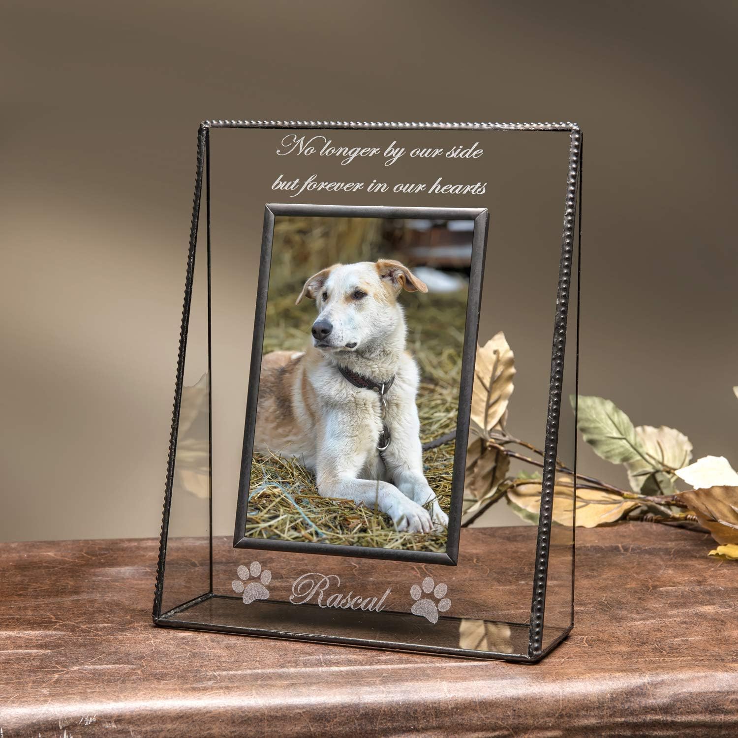 J Devlin Glass Art Pet Memorial Picture Frame Dog Cat Loss of Pet Keepsake Pic 319-46V EP534