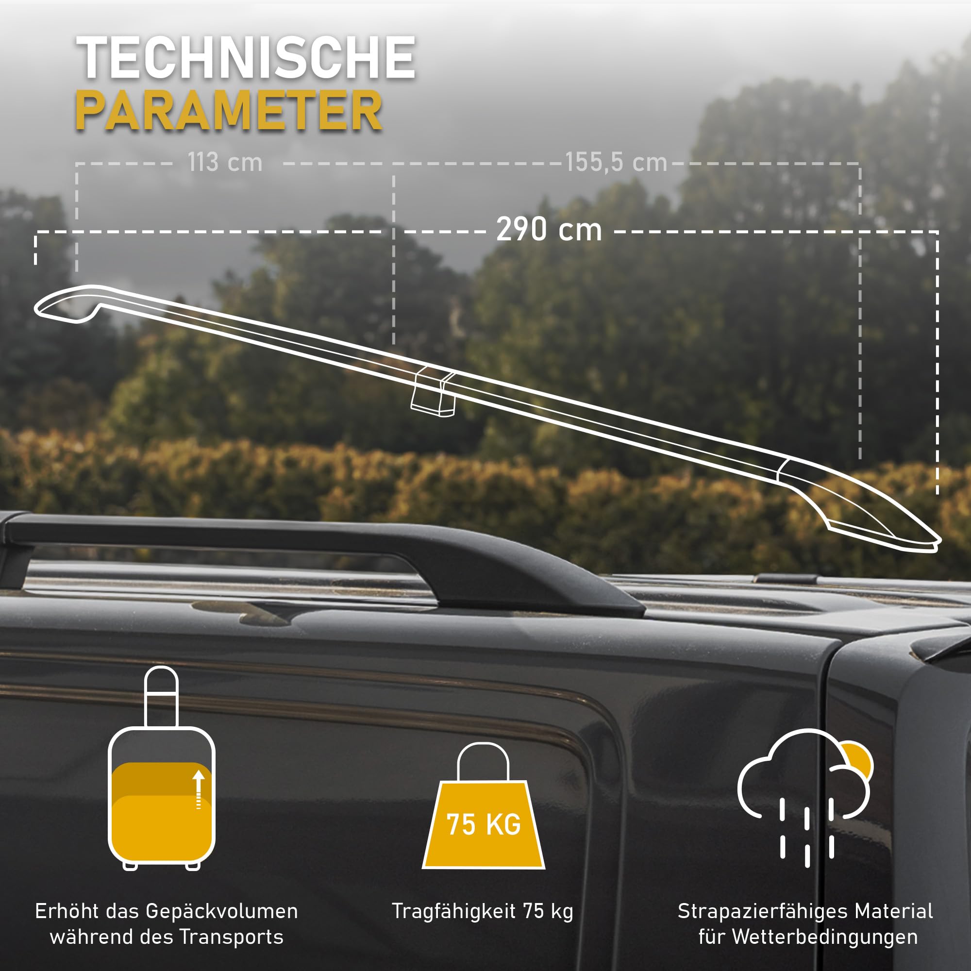CHROMEMASTER Dachreling Dachträger Kompatibel mit FIAT Talento Long L2 2016+ | Zur Befestigung der Dachgepäckträger, Dachboxen oder Dachfahrradträger | Robuste Konstruktion aus Alu